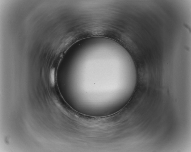 X0000099400028200805151716