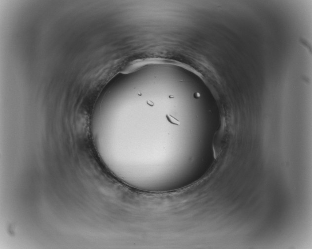 X0000099400029200805151716