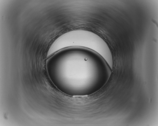 X0000099400030200805151715