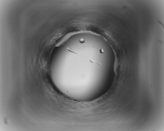 X0000099400031200805151715