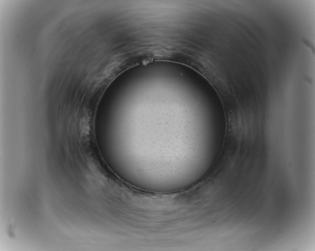 X0000099400032200805151715