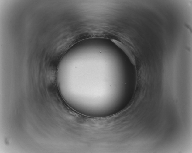 X0000099400033200805151715