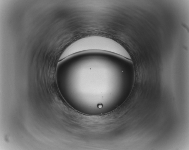 X0000099400034200805151715