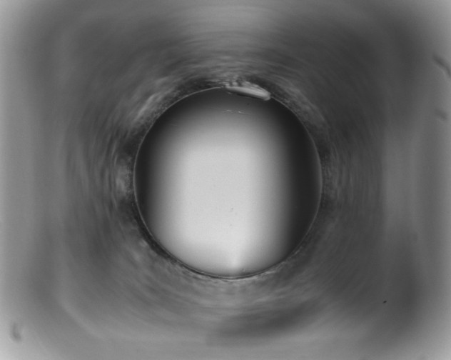 X0000099400035200805151715