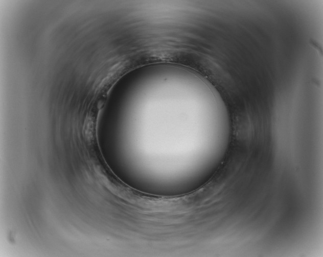 X0000099400036200805151715