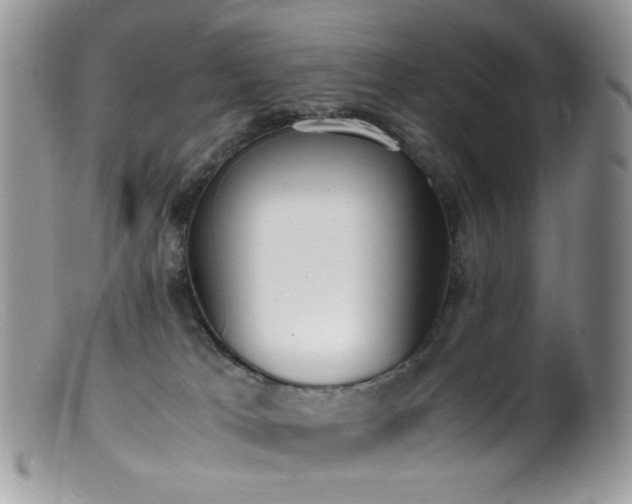 X0000099400037200805151715