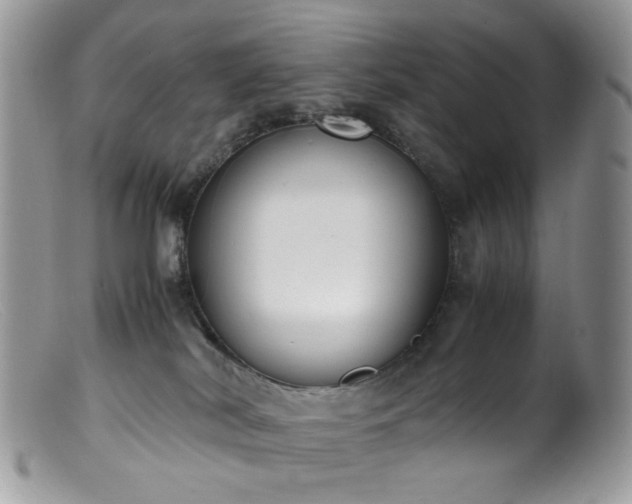 X0000099400038200805151715