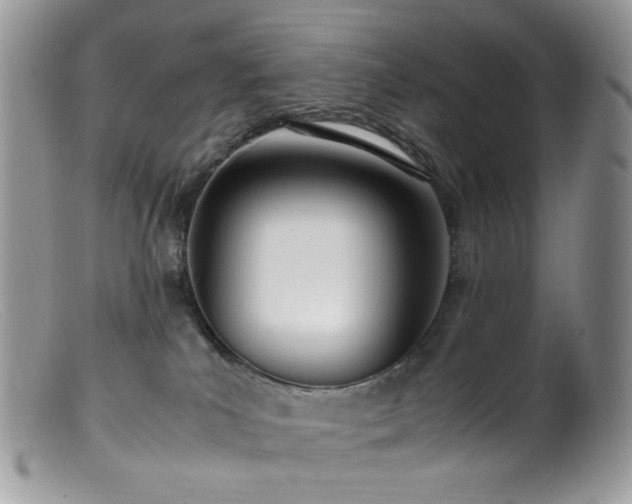 X0000099400039200805151715