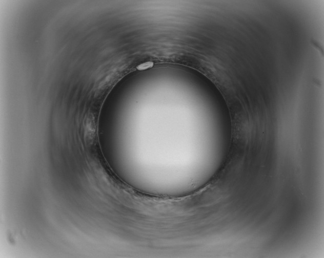 X0000099400040200805151715