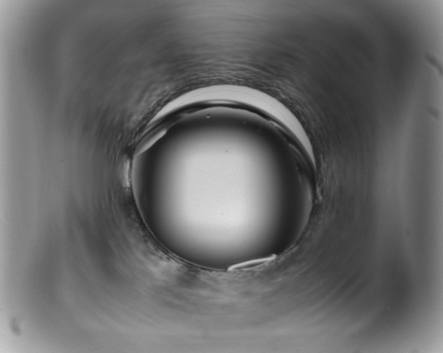 X0000099400041200805151715