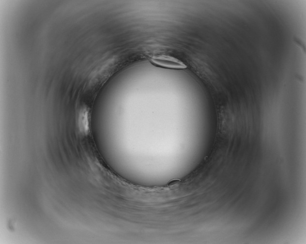 X0000099400042200805151715