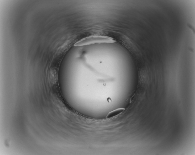 X0000099400043200805151715