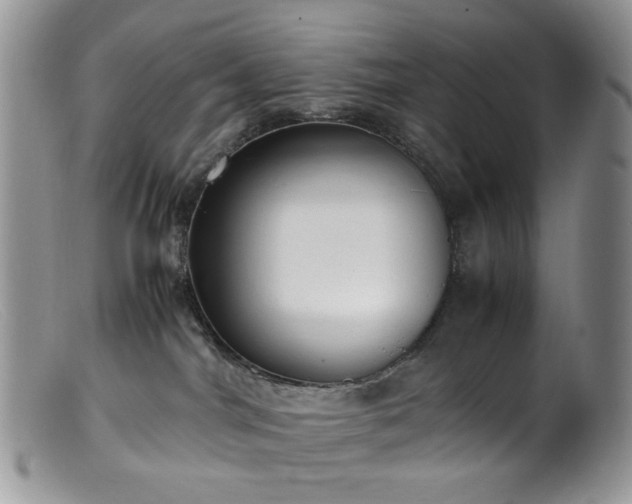 X0000099400044200805151715