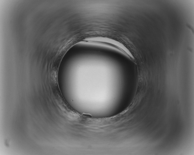 X0000099400045200805151715