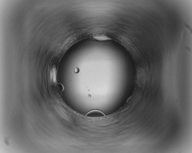 X0000099400046200805151715