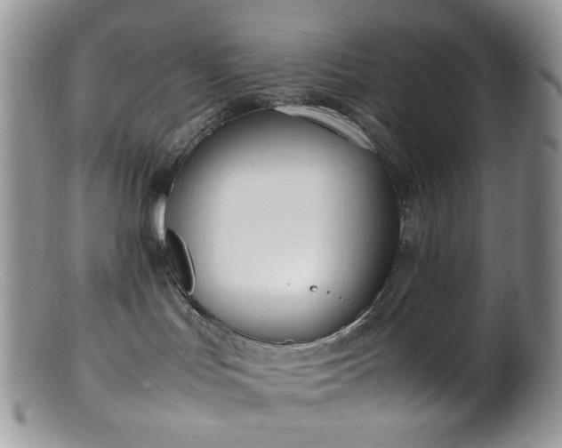 X0000099400047200805151715