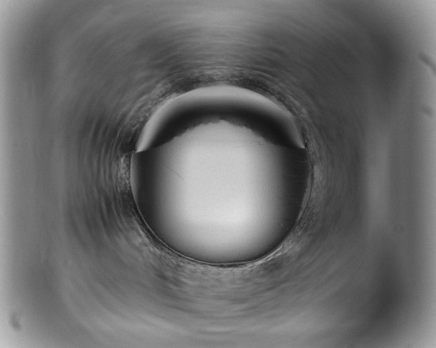 X0000099400048200805151715