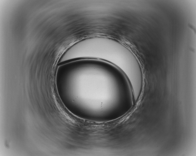 X0000099400049200805151714