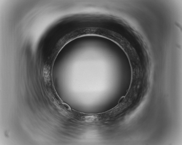 X0000099400050200805151714