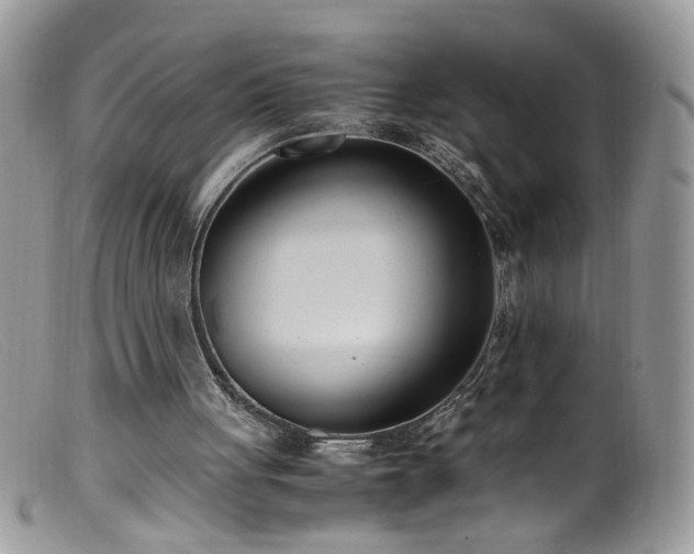 X0000099400051200805151714