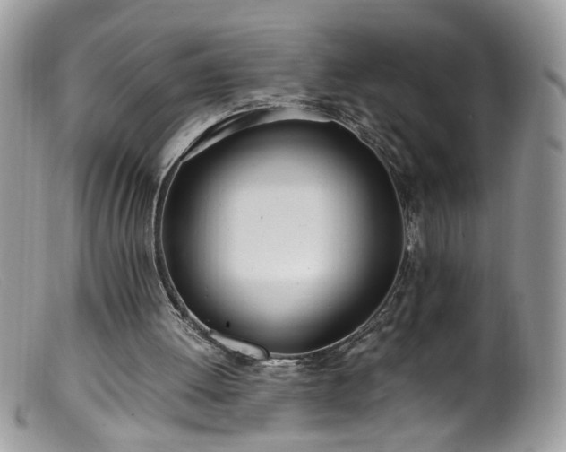 X0000099400052200805151714