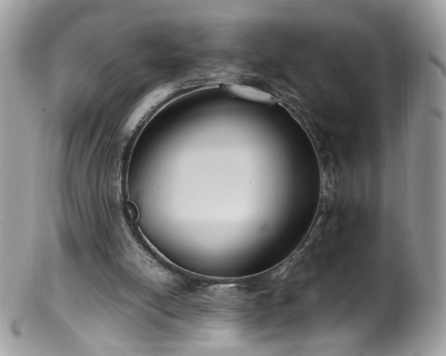 X0000099400054200805151714