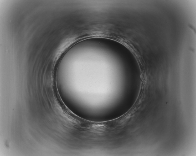 X0000099400055200805151714