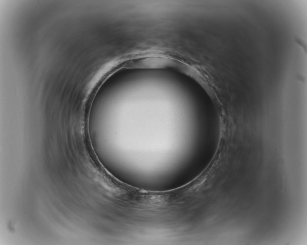 X0000099400056200805151714