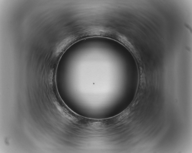 X0000099400058200805151714