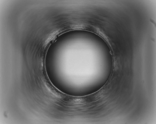 X0000099400059200805151714