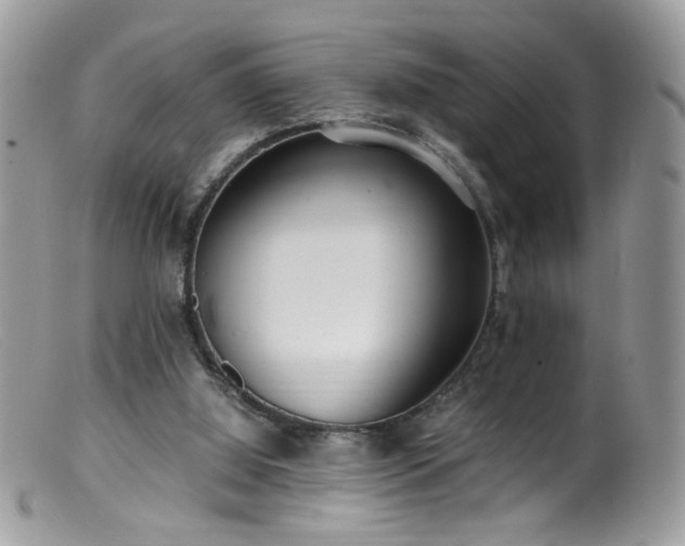 X0000099400060200805151714