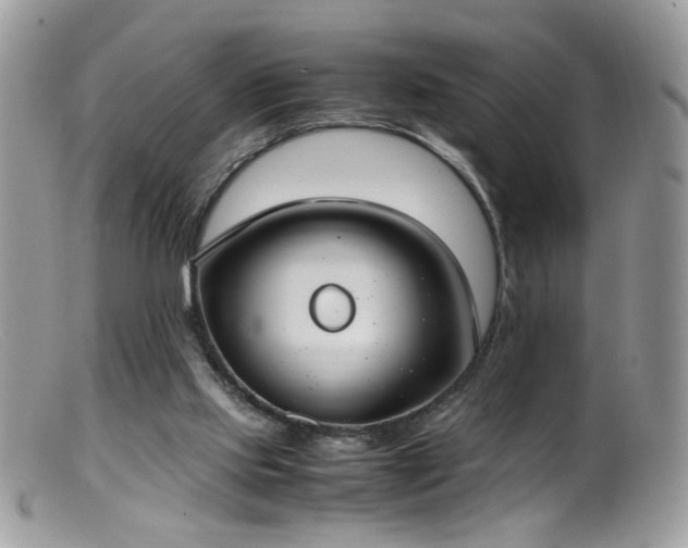 X0000099400061200805151715