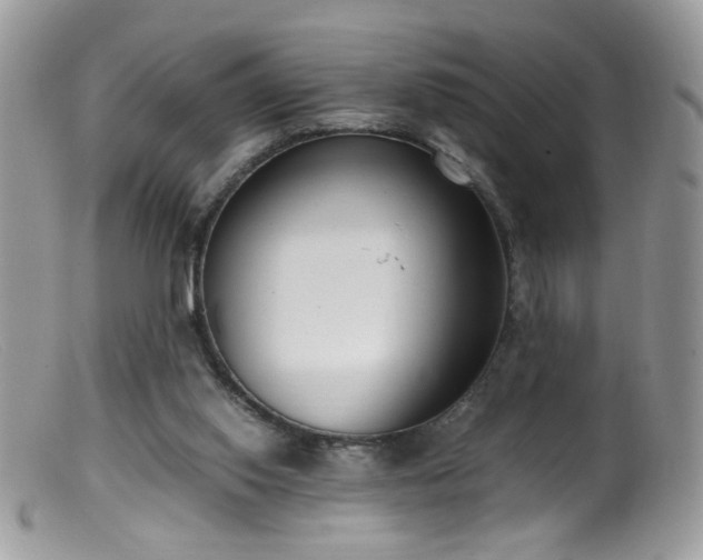 X0000099400062200805151715