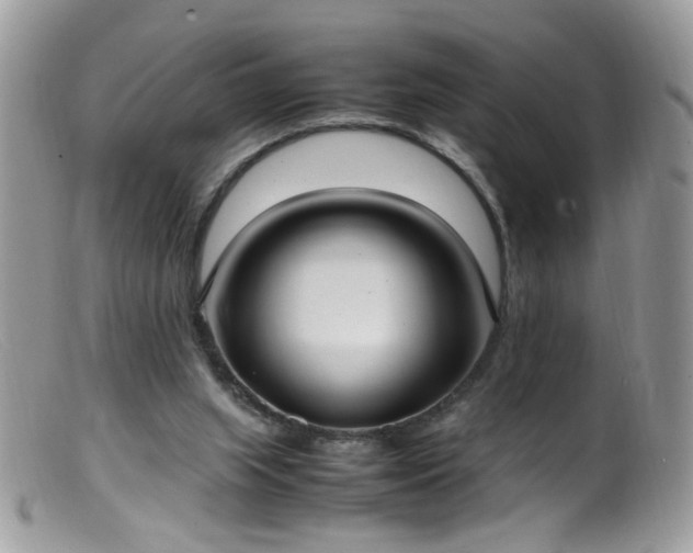 X0000099400063200805151715