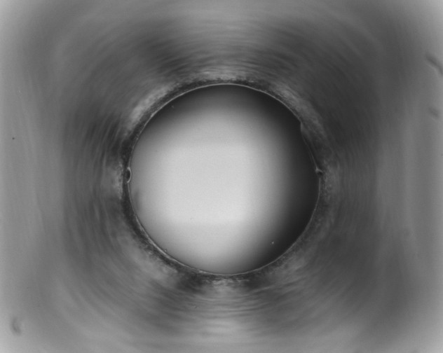 X0000099400064200805151715