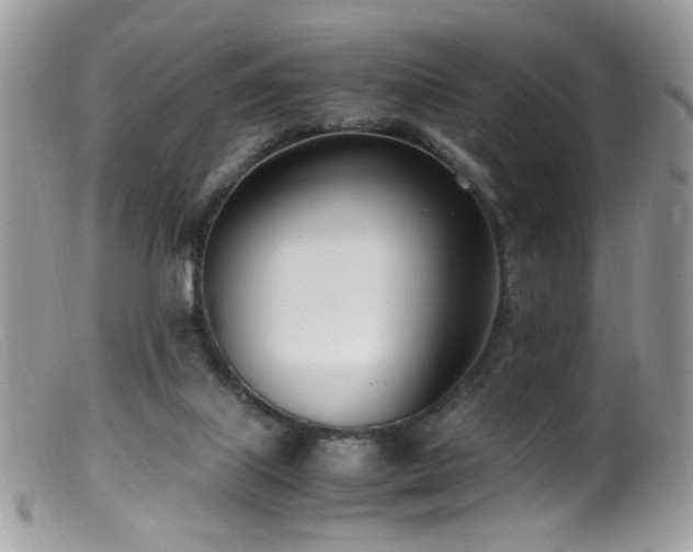 X0000099400067200805151715