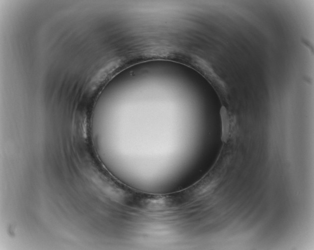 X0000099400068200805151715