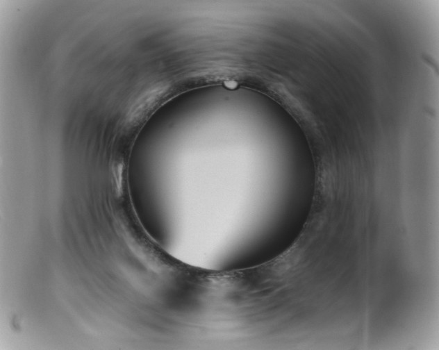 X0000099400070200805151715