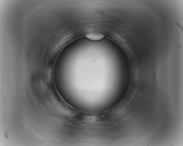 X0000099400071200805151715