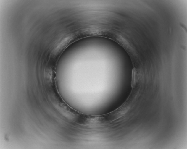 X0000099400072200805151715