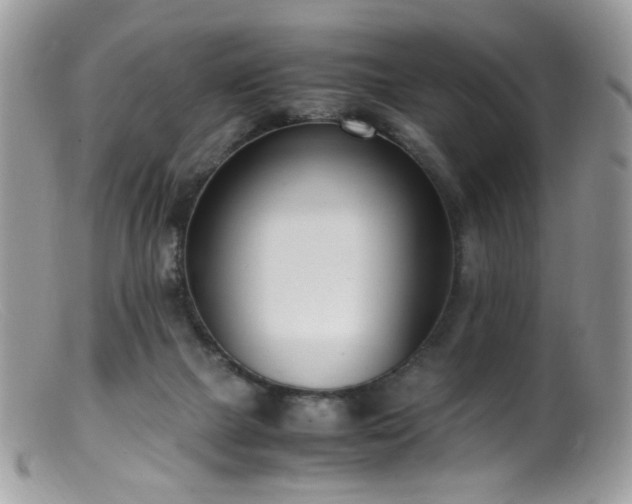 X0000099400073200805151715