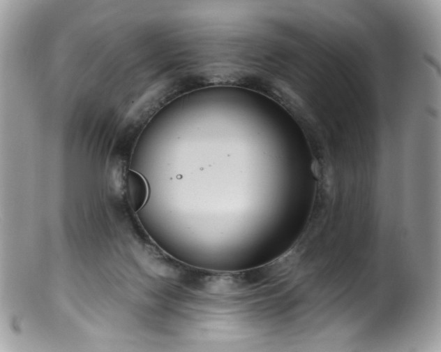 X0000099400074200805151715