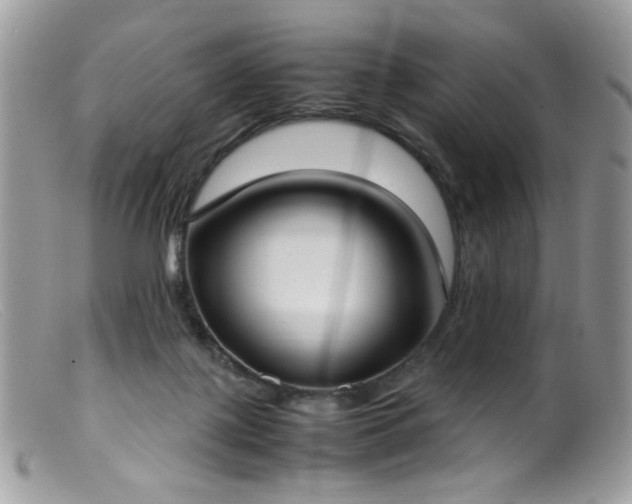 X0000099400075200805151715