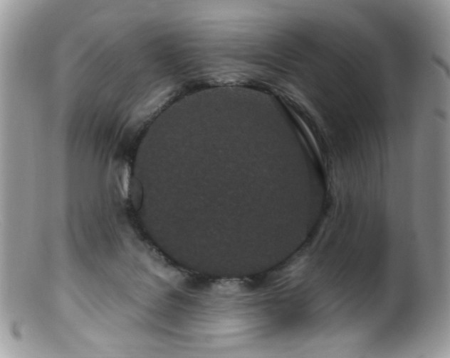 X0000099400076200805151715