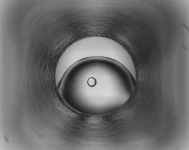 X0000099400077200805151715