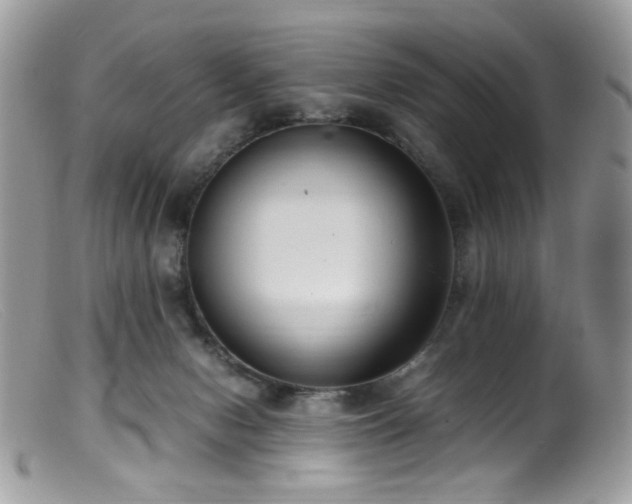 X0000099400078200805151715