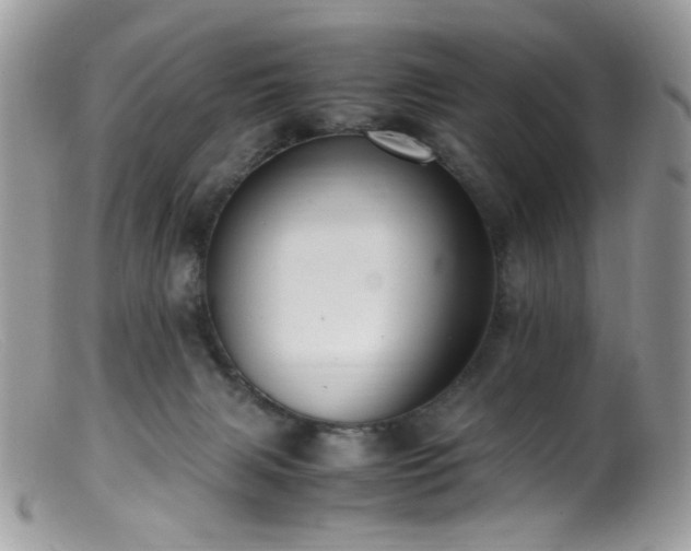 X0000099400079200805151715