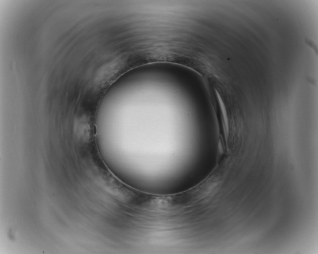 X0000099400080200805151715