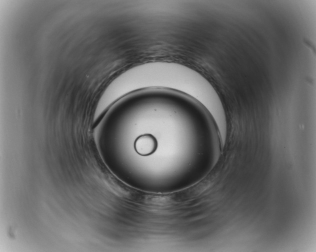 X0000099400081200805151715