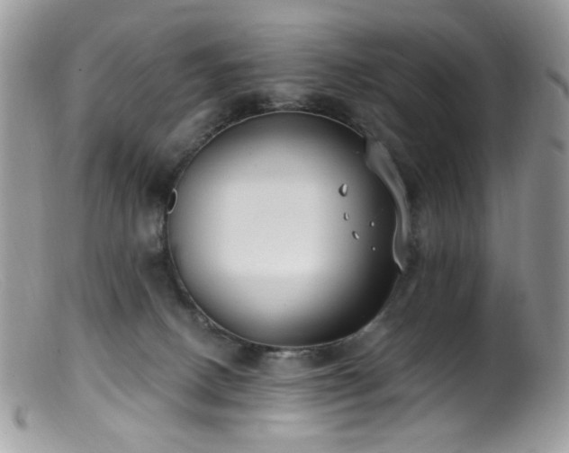 X0000099400082200805151715